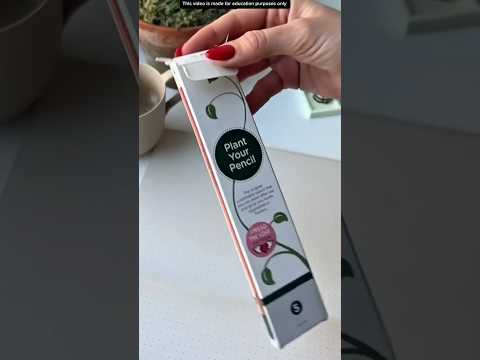 PENSIL SERBA GUNA❗️#videoviral #information #pengetahuan thumbnail