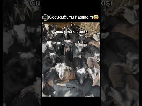neden böyle yapiyoduk bilmiyorum😂 thumbnail