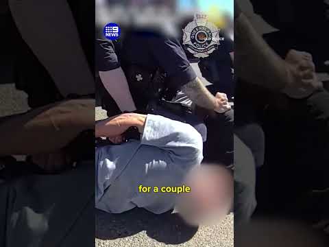 Police trap alleged offenders in stolen vehicle | 9 News Australia thumbnail