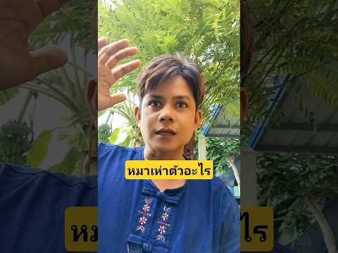 หมาเห่าตัวอะไรในพงหญ้าเกือบโดนชกซะแล้วไอ้คิตตี้ #บังเอิญเจอ #funny #funny #การแสดงเท่านั้น thumbnail