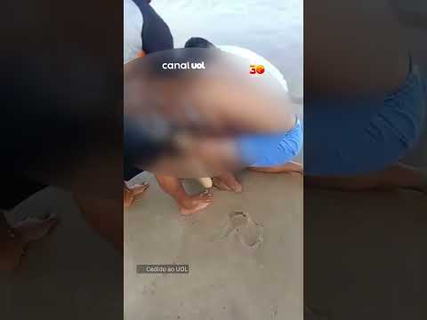 Mulher é atacada por tubarão em praia no Recife, em Pernambuco; ataque é o 2º em dois dias thumbnail