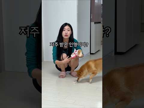 저주받은 인형을 만지면 생기는 일ㄷㄷㄷㄷ thumbnail