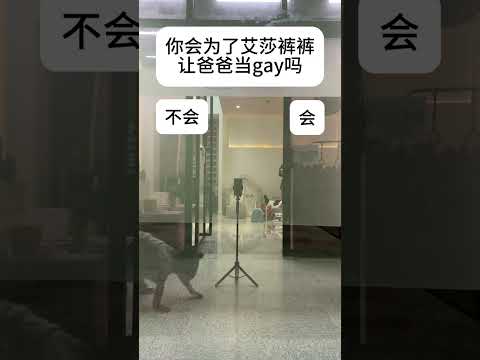 我不会为区区6500万出卖我爸爸的... #6500万艾莎内裤  #人类幼崽  #露兮粑粑  #小小露兮 #内容启发搜索 thumbnail