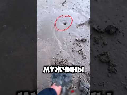 Что прячется в этой дырке на берегу!? thumbnail