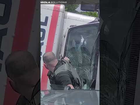 WILD police chase ends when police perform a PIT maneuver #chase #shorts #police #policechase thumbnail