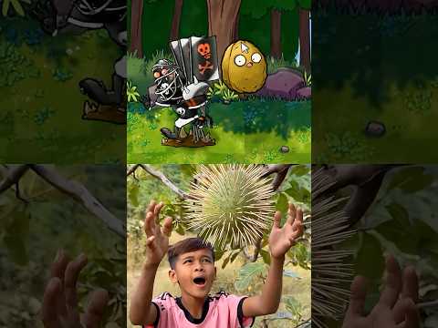 Oi Oi Oi-Nut but it’s LORE ACCURATE—For the screaming PvZ Fusion fans #pvz #plantsvszombies thumbnail