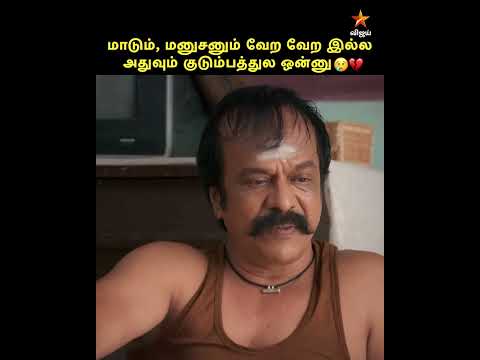 சிலருக்கு, மாடு தான் உசுரு ?❤️| Thaai Maaman #VijayMemes thumbnail