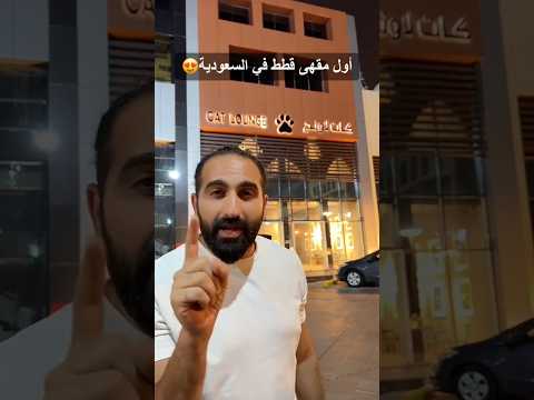 أول مقهى قطط في جدة thumbnail