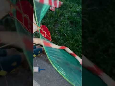 Tịch thu diều này ngay #thadieu #dieusao #thadieusao  #shorts #caulongbocondua thumbnail