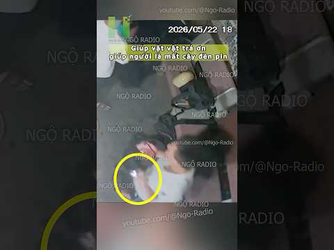Giúp vật vật trả ơn giúp người là mất cây đèn pin thumbnail