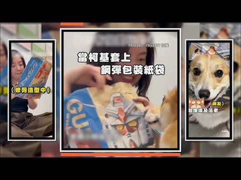 媽媽巧手DIY紙袋　柯基變身超帥氣鋼彈 thumbnail