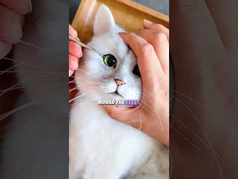 She recreated the cat she had lost #usa thumbnail