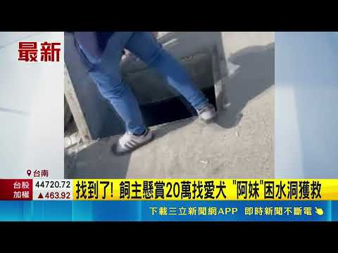 找到了! 飼主懸賞20萬找愛犬 "阿妹"困水洞獲救｜三立新聞網 SETN.com thumbnail
