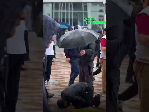 Случай, покоривший сердца thumbnail