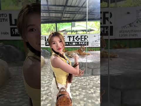 ทำใจอยู่นาน thumbnail