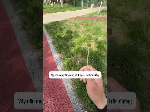 Thế mà ngày trước tôi lại tưởng cái này là kẹo thumbnail