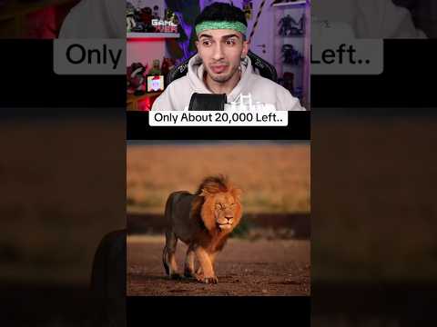 2026 DA NESLİ TÜKENEBİLECEK HAYVANLAR ? #shorts thumbnail