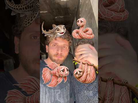 فلتر قليل ادب!! thumbnail