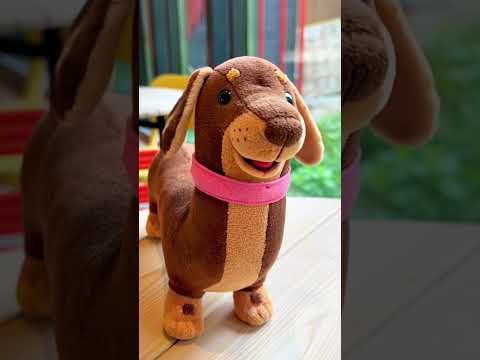 VANYA DECEIVED CHAPITOSIK? #shorts thumbnail