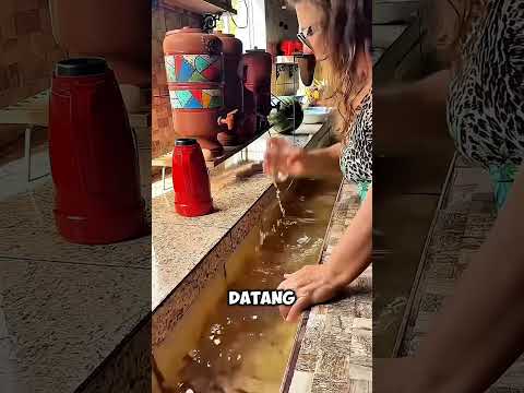 dapur rumah ini punya sungai sendiri thumbnail