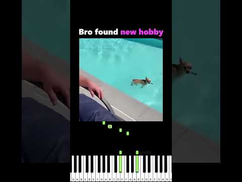 Bro living life thumbnail