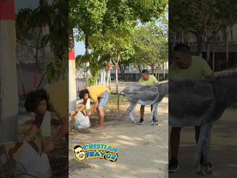 El burro 🫏 lo pateó 😆/ broma #funny #prank #viralvideo thumbnail