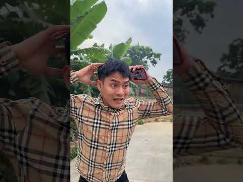 Chú chó con tốt bụng và dũng cảm giải cứu Ông nội #shorts thumbnail