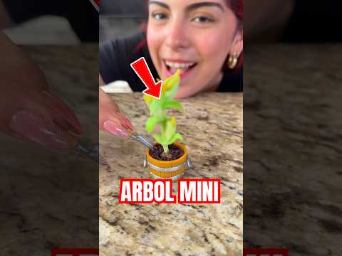 Planté el ARBOL mas PEQUEÑO!!😱🌎🌳 #hellomon #abriendojuguetes #juguetes #minibrands thumbnail