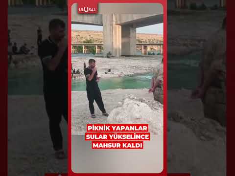 Fırat Köprüsü'nün altında piknik yapanlar sular yükselince mahsur kaldı #shorts #fırat #keşfet thumbnail