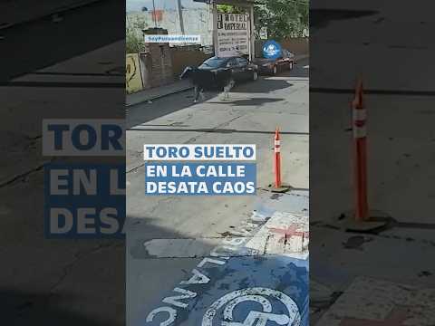 Toro cae de remolque en Michoacán y desata caos en plena calle #shorts thumbnail