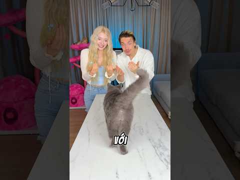 Meo muốn ở với ai? thumbnail