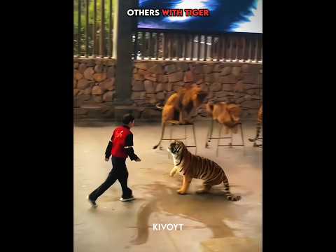 Others with Tiger vs Last One 💀 #edit #animal #skulledit #usa thumbnail