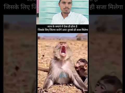 Jaan hajir Hai mustfa ke liye#youtubeshorts #1000subscriber #trendingshorts #viralvideo #shortvideo thumbnail