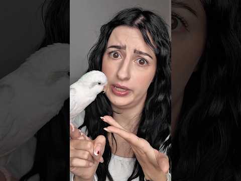 SKY È ALLERGICO AL POLLINE 🤧 thumbnail