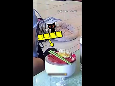 【吉度貪吃】吉娃娃偷吃主人早餐　才咬一口就被抓包 #Shorts thumbnail