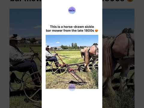 This is a horse-drawn sickle bar mower from the late 1800s 😍 thumbnail