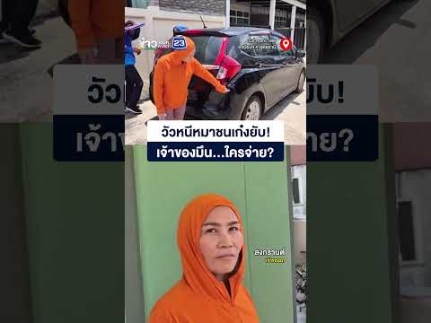 วัวหนีหมาชนเก๋งยับ เจ้าของมึน...ใครจ่าย? thumbnail