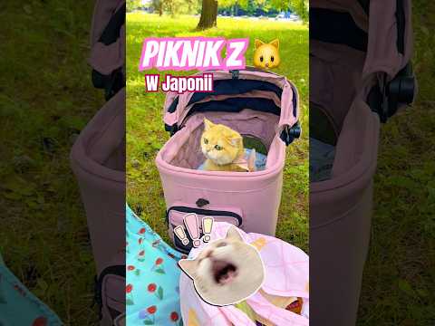ROBIMY PIKNIK Z KOTEM W JAPONII!🧺🐱🐾🇯🇵 thumbnail