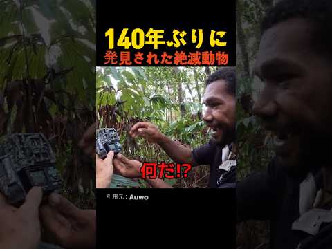 140年ぶりに発見された絶滅動物 thumbnail