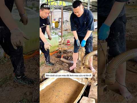 Anh thợ bơm cạn nước và phát hiện thứ bất ngờ thumbnail