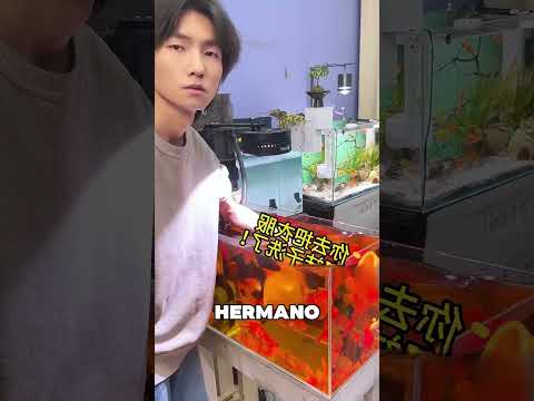 No Sabía Que Era Papel Mágico 🤯❤️ thumbnail