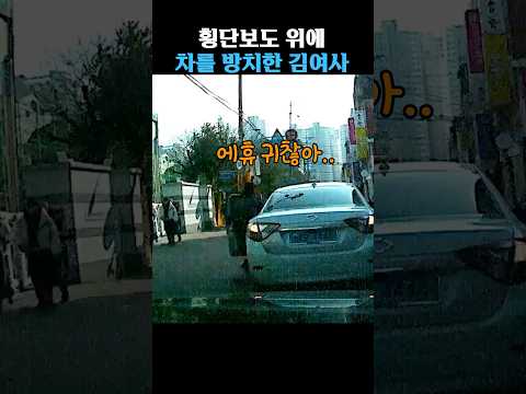 도로를 점거한 김여사 thumbnail
