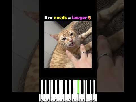 Bro needs a lawyer thumbnail