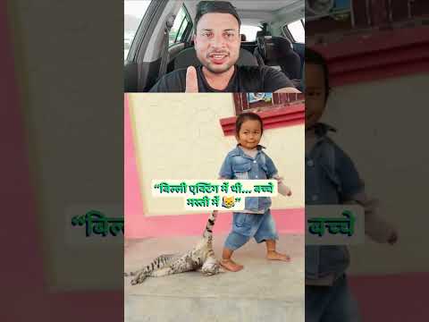 billi ki masti #youtubeshorts #trending  #funny #viral #shortvideo thumbnail
