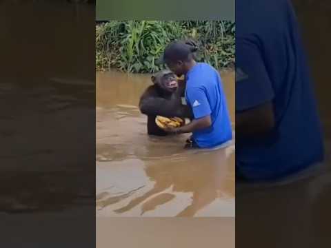 روح جائعة تذكرت الحب قبل الطعام🥹! thumbnail