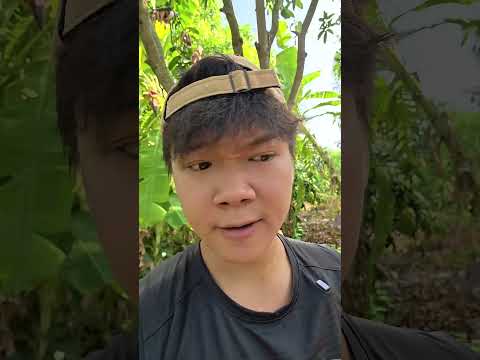 ??????????? | Ra Vườn Chơi #longcaolanh #htl #viral #shorts thumbnail