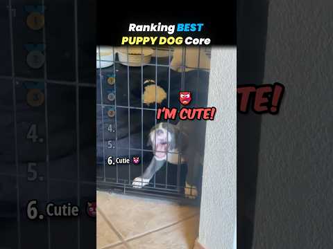 Ranking FUNNIEST PUPPY CORE Moments!! 🐶🍼 thumbnail