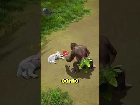 El León Quiso Comerse al Gorila Que Lo Había Salvado… Pero el Lobo No Lo Permitió ? thumbnail