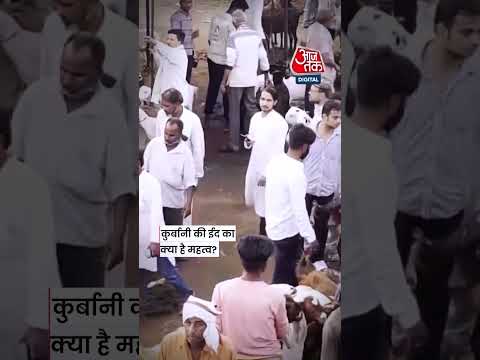 Bakra Eid 2026: भारत में कब मनाई जाएगी बकरीद? जानें सही तारीख #bakrid2026 #viralvideo #news thumbnail