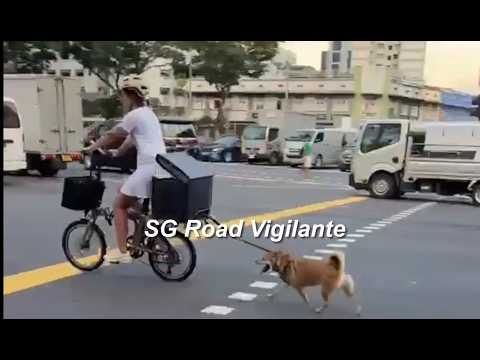 6may2026 serangoon road cyclist walking her dog on public road thumbnail